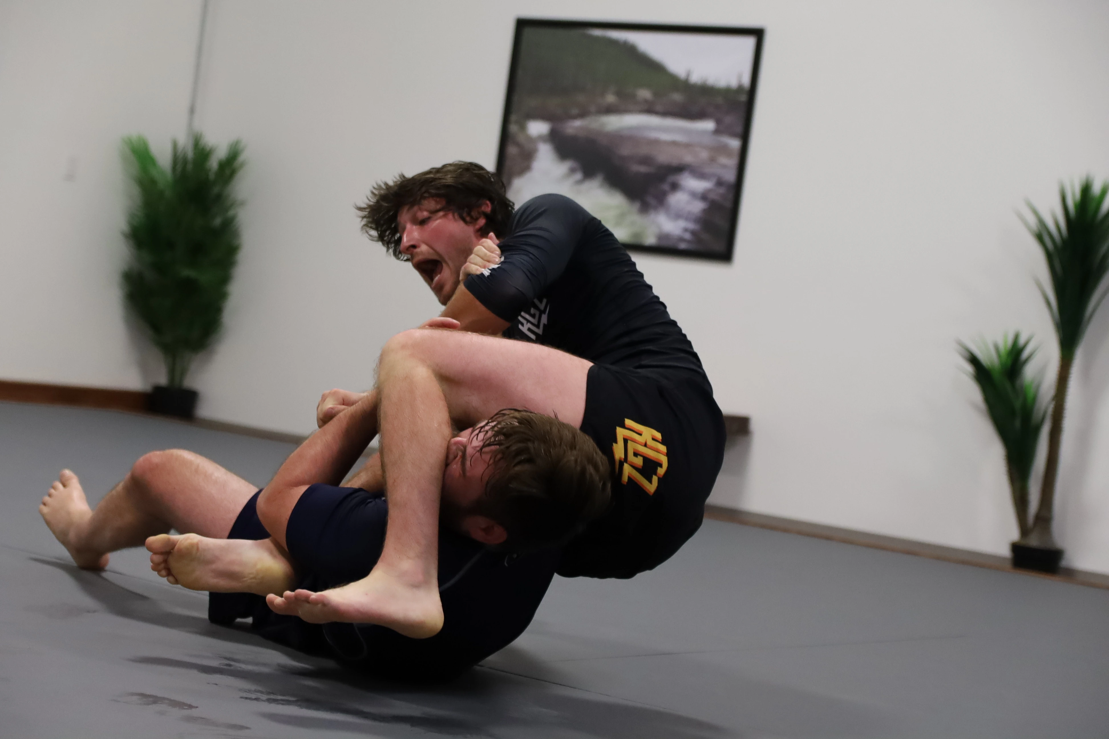 No-GI Jiu-Jitsu training at Expedition BJJ